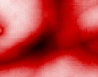 fractals image